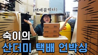 There's a person who stacks delivery boxes for 6 months? Delivery collector's unboxing📦