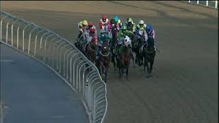 Vidéo de la course PMU PRIX HOLLYWOODBETS BRIGHT FUTURE FM 67 HANDICAP