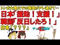 【ゆっくり解説】韓国さん、トンガ大噴火に便乗して日本叩きに精を出す！反日コメントやら竹島やら本当にしょうもないですね・・・