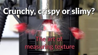 Fracture testing of food and other soft matter, mini hydraulic press screenshot 1