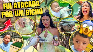 Fui Atacada Por Um Bicho Um Sábado Comigo Na Fazenda