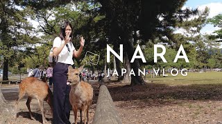 day trip visiting nara 🦌 japan vlog 2023 by Adventures of Awkward Amy 364 views 6 months ago 12 minutes, 3 seconds