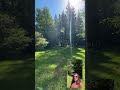 Beautiful 3 acre property in Sandpoint! #realtorlife #northidaho #realtorlife #fyp