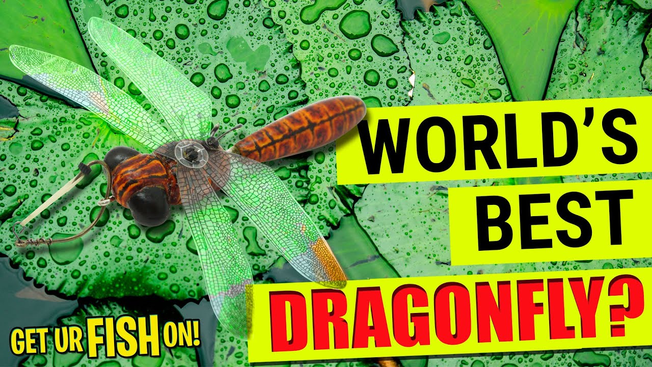 The Most REALISTIC BASS FISHING TOPWATER DRAGONFLY LURE OUT THERE