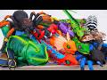 ZURU ROBO ALIVE COLLECTION | UNBOXING RC Terra Spider, New Robo Crocodile, Lizard creepers ASMR