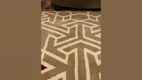 دقيقة من تراويح ليلة 10-9-1444 القارئ عبدالرحمن أبا الخيل جامع صالح العبيلان ببريدة