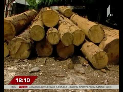 მუჟავაში უკანონო ლენტური ტიპის სახერხი საამქრო გამოავლინეს