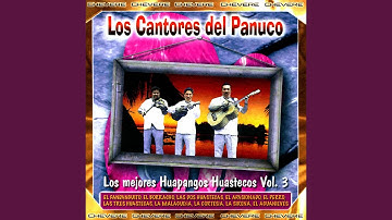 Las Tres Huastecas