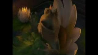 shrek the third-king frog dead