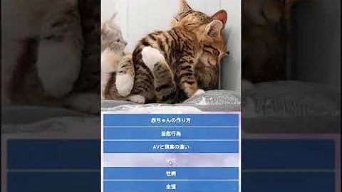 子供の作り方 絶対に学校では教えてくれない保健体育を実況プレイ 赤ちゃんの作り方 バカゲー 実況プレイ Part1 Mp3 子供の作り方 絶対に学校では教えてくれない保健体育を実況プレイ 赤ちゃんの作り方 バカゲー 実況プレイ Part1 Mp3
