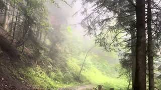 Hiking in the rain