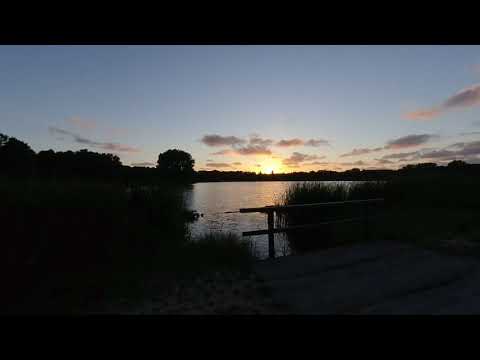 VR180 Vibrant Summer Sunset at the lake