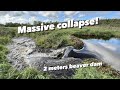 Epic 2meters Beaver Dam COLLAPSE!