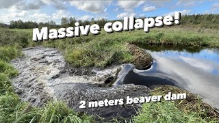 Epic 2meters Beaver Dam COLLAPSE!