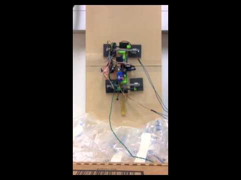 Gecko Adhesive Climbing Robot (ACROBOT)