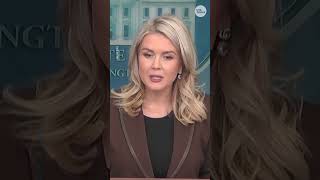 Trump says Leavitt made White House press secretary job 'glamorous'