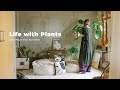 最近はじめたこと 。植物と暮らす日常Vlog | 服のたね