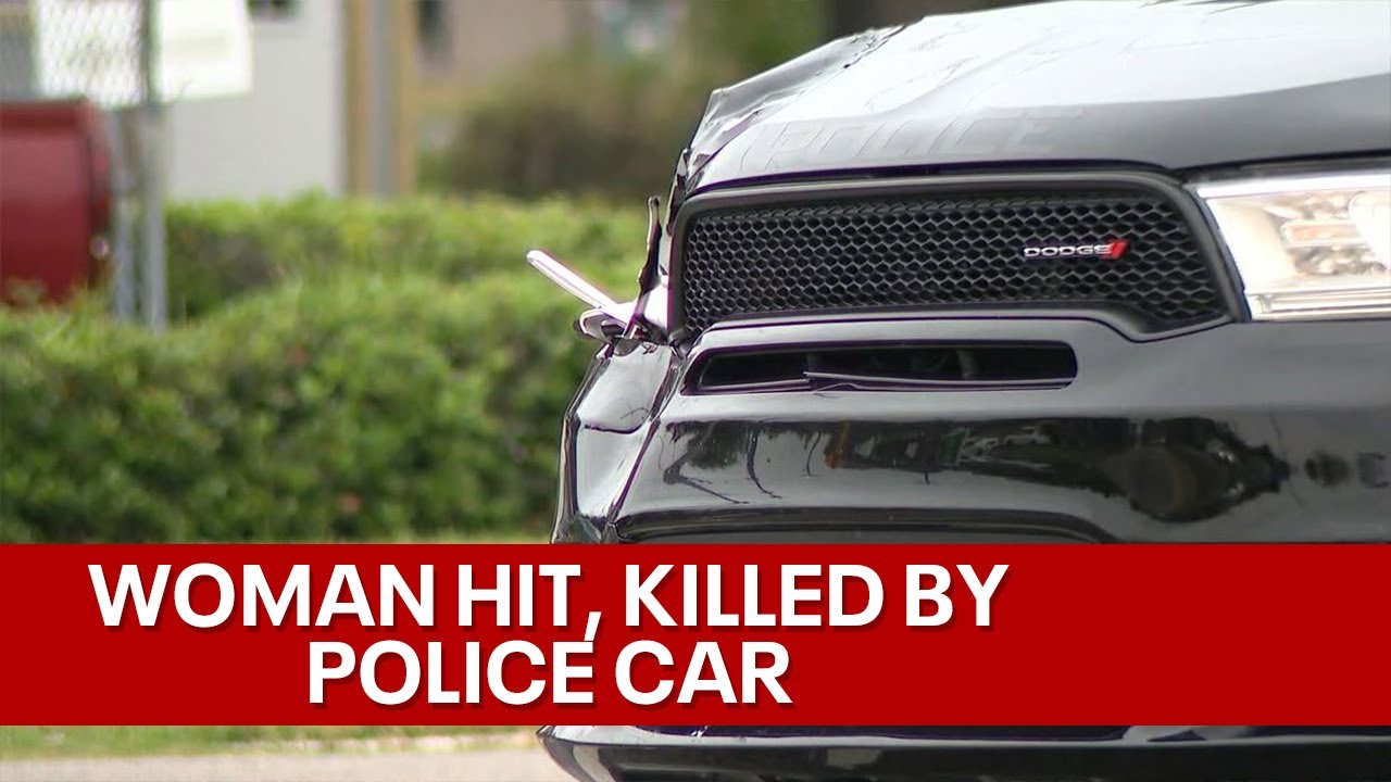 Florida woman hit, killed by police car while crossing road, troopers ...