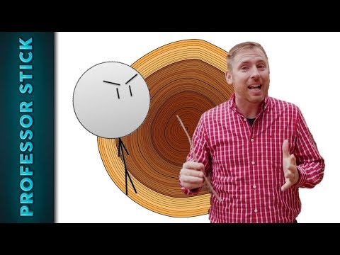 Tree ring dating creation vs evolution