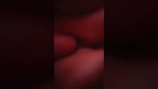 Handbag Vlog Real Daily Essentials 2026