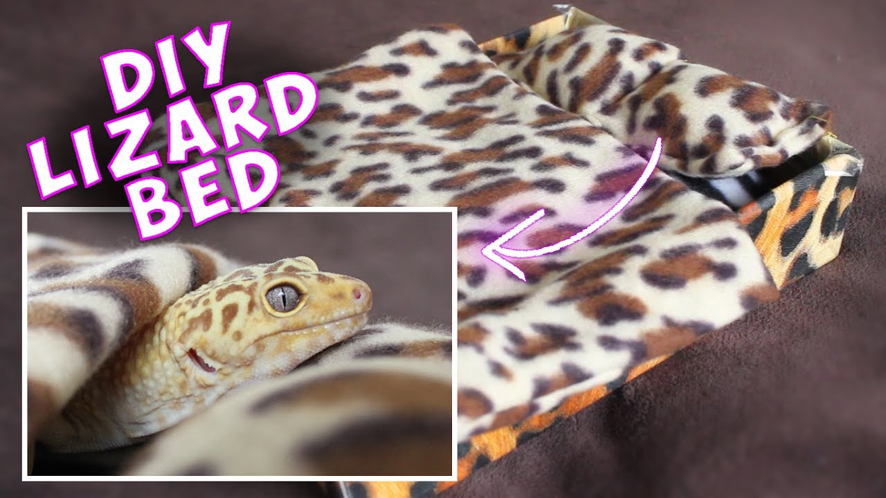 How to Make A Lizard Bed! - Inspired By Erin's Animals! - YouTube how-to-make-a-lizard-bed-inspired-by-erin-s-animals-youtube