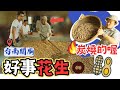 好事花生在關廟【精選】