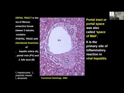 LIVER AND PANCREAS GI3 lecture