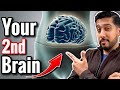 How to Improve Gut Health | The Gut Brain Axis EXPLAINED