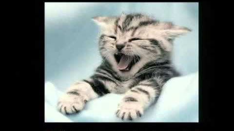 DEFCON 20 Fuzzing Online Games