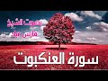 سورة العنكبوت بصوت الشيخ فارس عباد
