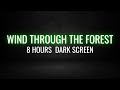 Soothing Wind Through the Forest for Sleep and Relaxation | 8 Hours Black Screen