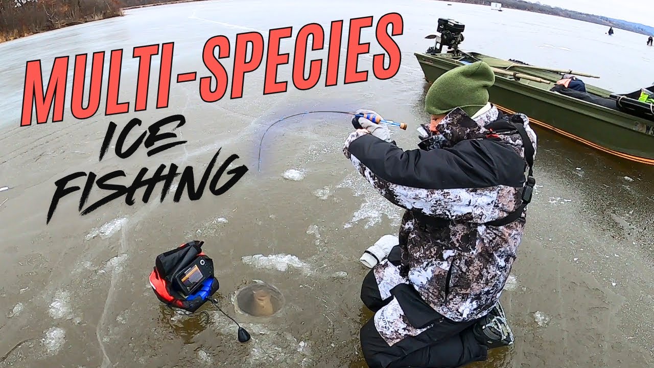 Multi-Species Action on the Mississippi River