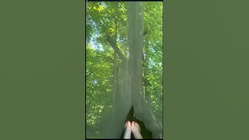 Sunyear Hammock Camping with Rain Fly Tarp and Net! #hammockcamping