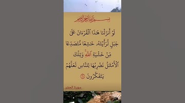 القرآن الكريم سورة الحشر