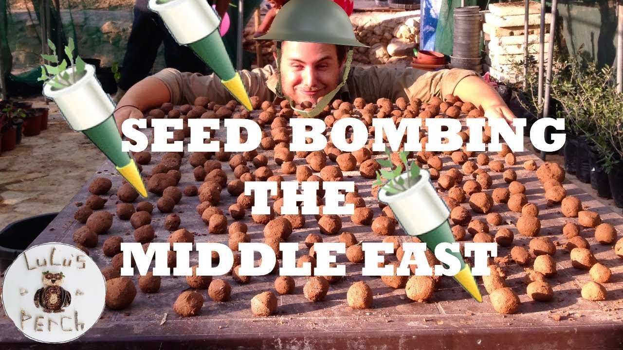 Seed BOMBING the Middle East!