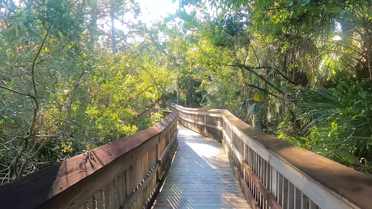 Virtual Hike | Hickey Creek Mitigation Park (North Marsh Trail) | Relaxing Sounds | HD Nature Video