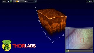 Thorlabs ThorImage OCT Imaging of a Finger