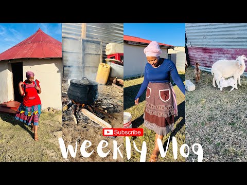 Unfiltered Eastern Cape #vlog: few days with umakoti… #southafricanyoutuber