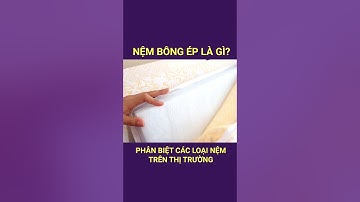 NỆM BÔNG ÉP LÀ GÌ | NỆM BÔNG ÉP CÓ TỐT KHÔNG | ĐẶC ĐIỂM NỆM BÔNG ÉP | KHO NỆM TỔNG HỢP #short
