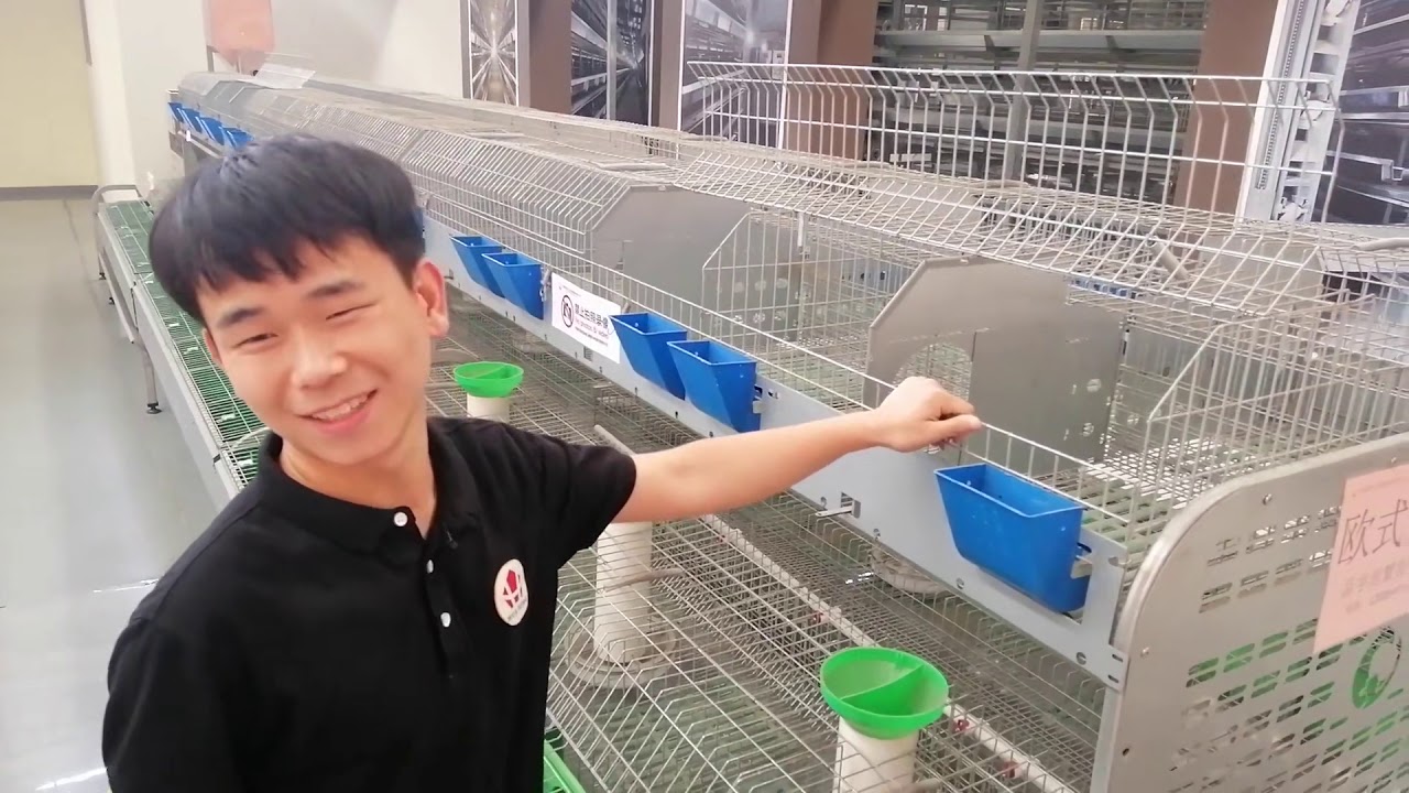 Automatic rabbit cage