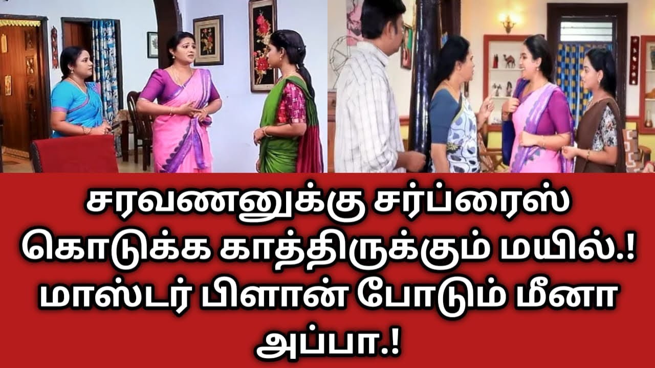 சரவணனுக்கு சர்ப்ரைஸ் கொடுக்க காத்திருக்கும் மயில்.! மாஸ்டர் பிளான் போடும் மீனா அப்பா.!