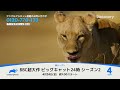 4月おすすめ番組｜アニマルプラネット（テレビ）
