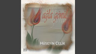 Dertli Dolap — Hüseyin Çelik kapak görseli