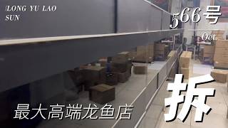 Download Lagu #566 最大高端龙鱼店准备拆了...... MP3