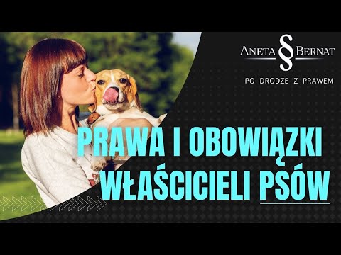 Wideo: Bezpieczeństwo Podczas Nocnych Spacerów Z Psem