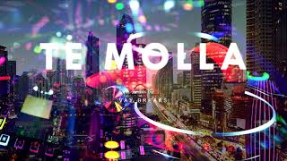 DJ BREAKBEAT SPECIAL TIK TOK TE MOLLA 2020|REMIX VAY BREAKS