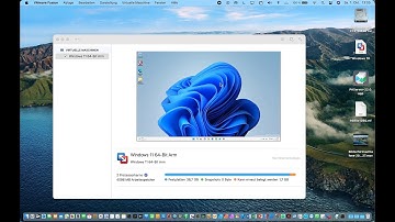 First look at Delphi DX 11.2 on Apple M1 chip with VMware