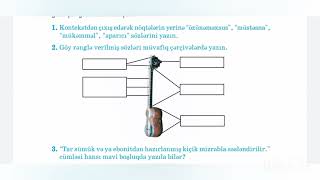 7 Cİ SİNİF AZƏRBAYCAN DİLİ KSQ 5 CAVABLARI