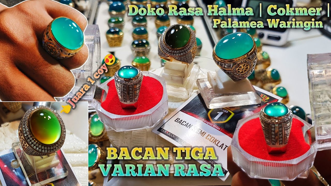 ADA BACAN HALMAHERA ? update bacan Doko, bacan coklat & bacan Palamea Waringin 👑bacan TERBARU! 