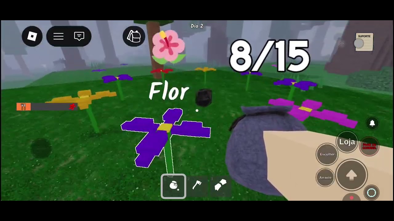 19 de fevereiro de 2026